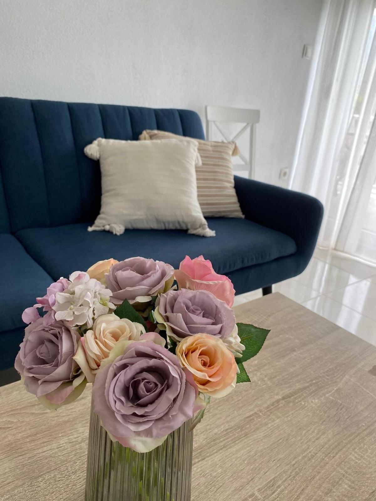 Apartments D&D Osobjava ภายนอก รูปภาพ